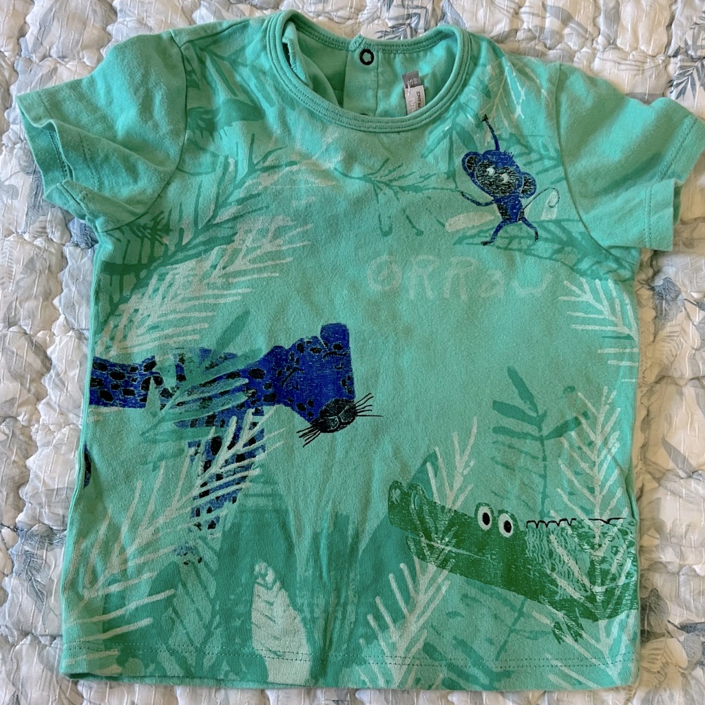 Catimini Boy T Shirts 3a Catimini Boy T Shirts 3a